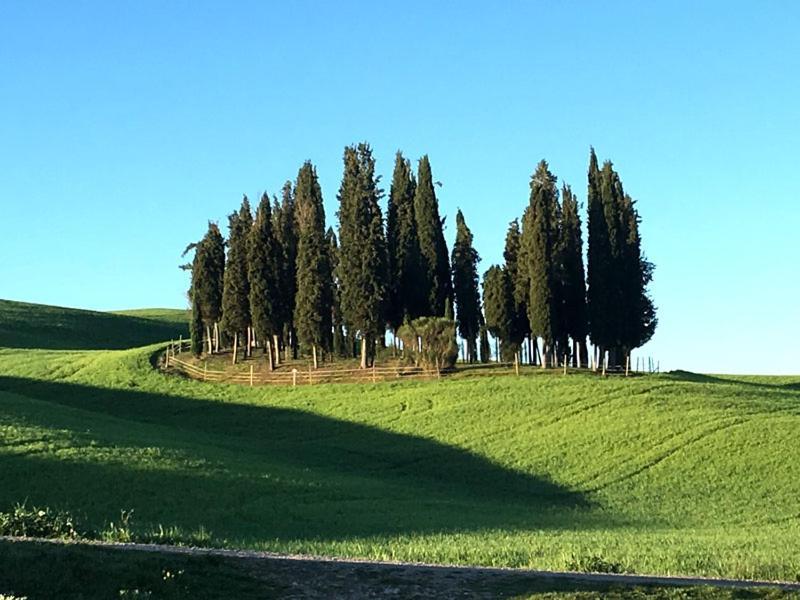 Apartament Finestra Sulla Val D'Orcia San Quirico dʼOrcia Zewnętrze zdjęcie